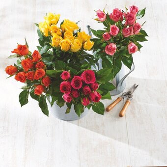 U Express BOUQUET DE 9 ROSES offre