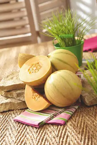 U Express MELON CHARENTAIS JAUNE offre