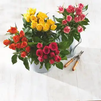U Express BOUQUET DE 9 ROSES offre