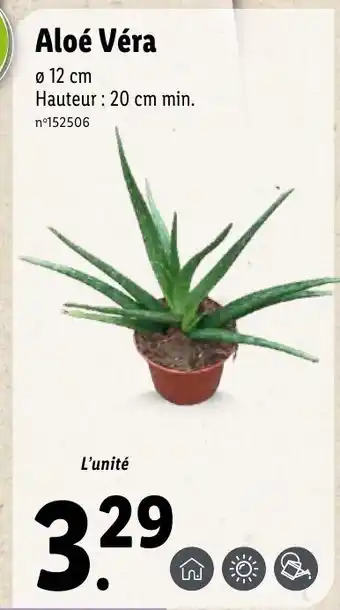 Lidl Aloé Véra offre