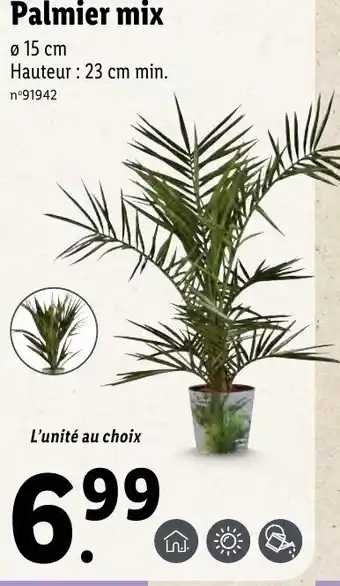 Lidl Palmier mix offre