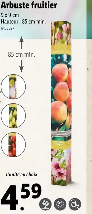 Lidl Arbuste fruitier offre