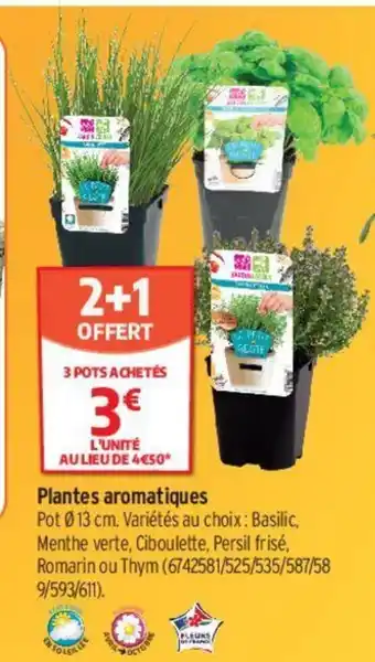 Bricorama Plantes Aromatiques offre