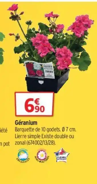 Bricorama Géranium offre