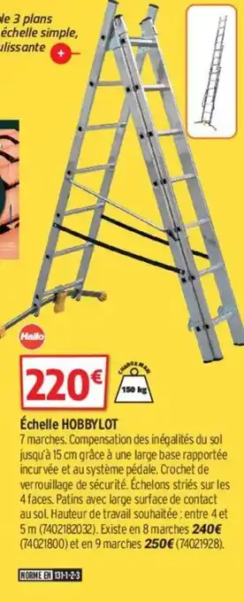 Bricorama échelle Hobbylot offre