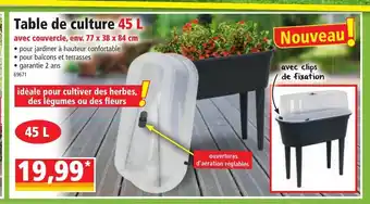 Table De Culture