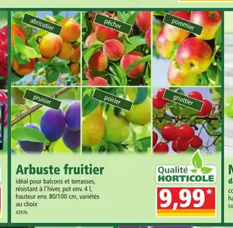 Norma Arbuste Fruitier offre
