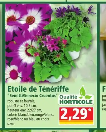 Norma Etoile De Ténériffe offre