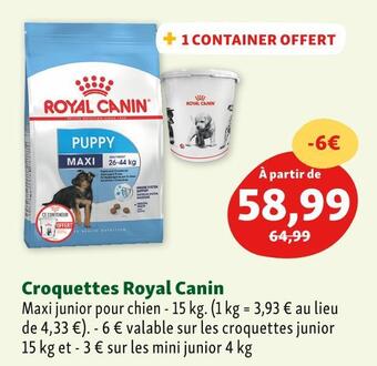 Maxi Zoo Royal canin croquettes offre