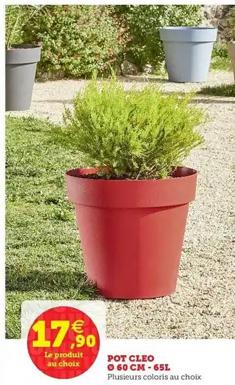 Pot Cleo 60 Cm