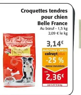 Colruyt Croquettes tendres pour chien offre