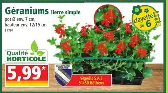 Norma Géraniums offre