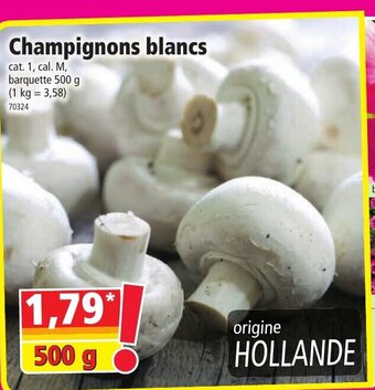 Norma Champignons blancs offre