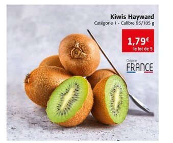 Kiwis Hayward