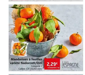 Mandarines à feuilles
