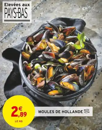 Intermarché Moules de hollande offre