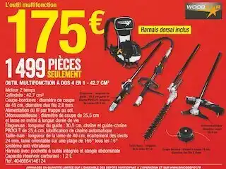 Brico Dépôt Woodstar outil multifonction à dos 4 en 1 - 42.7 cm3 offre