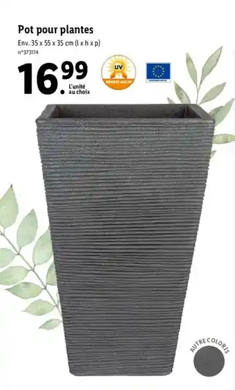 Lidl Pot pour plantes offre
