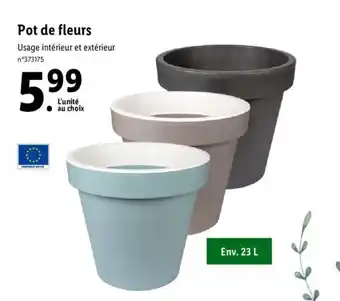 Lidl Pot de fleurs offre