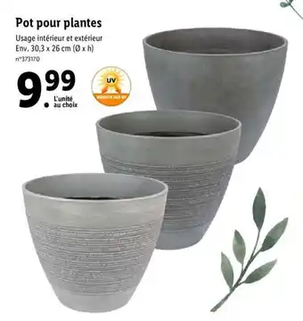 Lidl Pot pour plantes offre