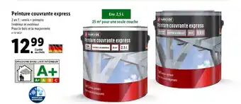 Lidl Peinture couvrante express offre
