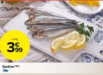 Carrefour Market Sardines offre