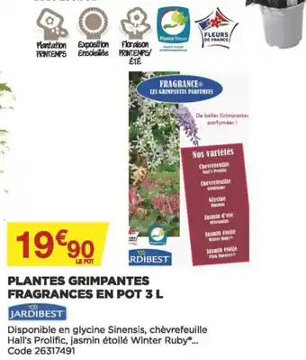 Bricomarché Plantes grimpantes fragrances en pot 3 L offre