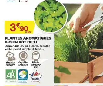Bricomarché Plantes Aromatiques offre