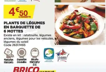 Bricomarché Plants de Légumes offre