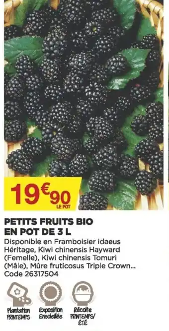 Petits Fruits Bio