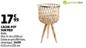 Auchan Gardenstar cache-pot sur pied offre
