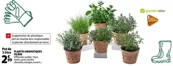 Auchan Gardenstar plantes aromatiques filière offre