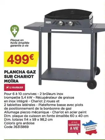 Bricomarché Plancha Gaz Sur Chariot offre