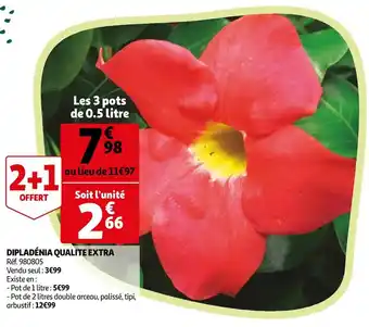 Auchan Dipladénia qualite extra offre