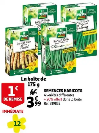 Auchan Le paysan semences haricots offre
