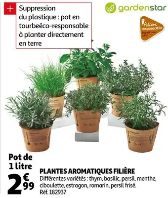 Auchan Gardenstar plantes aromatiques filière offre