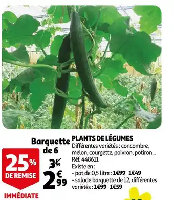 Auchan Plants de légumes offre