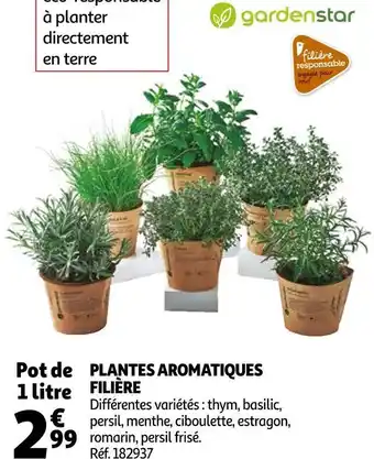 Auchan Plantes aromatiques filière offre
