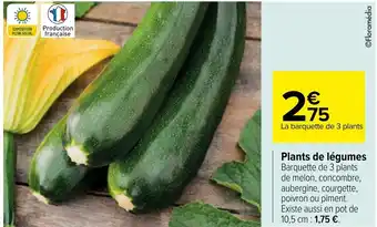 Carrefour Plants de légumes offre