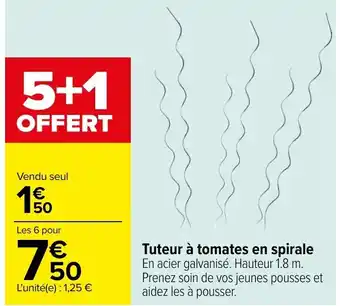 Carrefour Tuteur a tomates en spirale offre