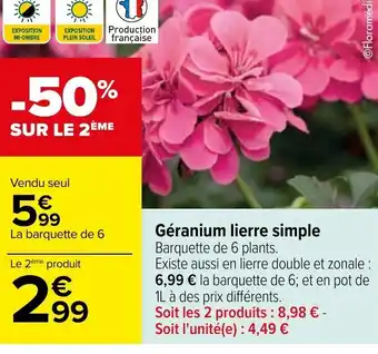 Carrefour Géranium lierre simple offre