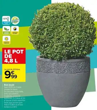 Carrefour Buis boule offre