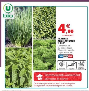 Hyper U Plantes Aromatiques offre
