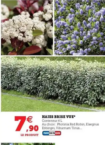 Haies Brise Vue