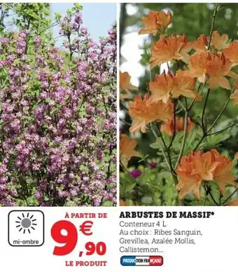 Hyper U Arbustes de Massif offre