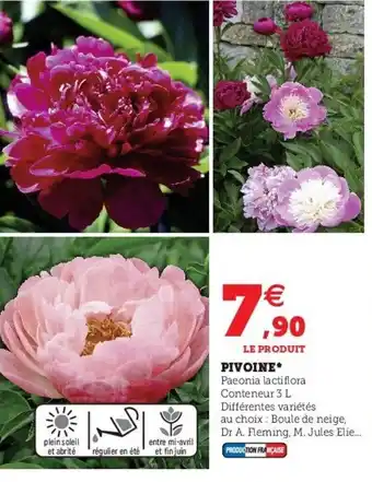 Hyper U Pivoine offre