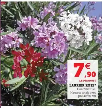 Hyper U Laurier Rose offre