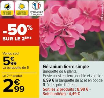 Carrefour Géranium lierre simple offre