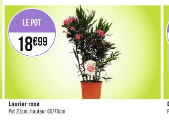 Géant Casino Laurier rose offre