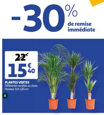 Auchan Plantes vertes offre